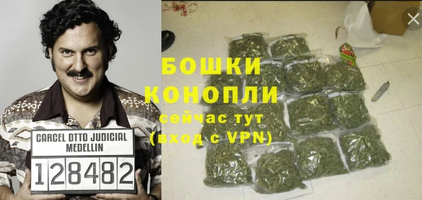 ГАЛЛЮЦИНОГЕННЫЕ ГРИБЫ Липки