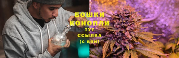 каннабис Майский