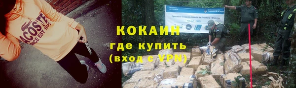 ГАЛЛЮЦИНОГЕННЫЕ ГРИБЫ Липки