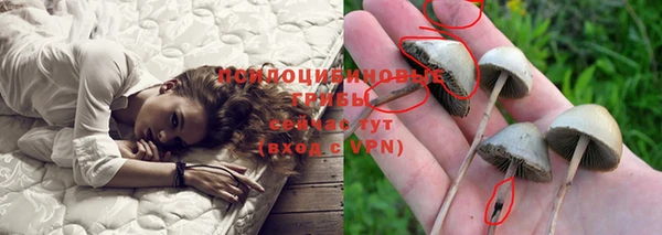 каннабис Майский