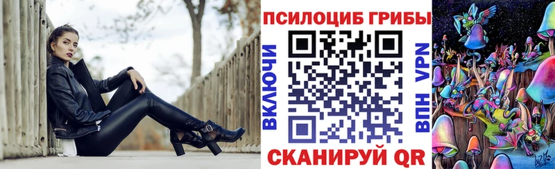 Псилоцибиновые грибы прущие грибы  Городище 