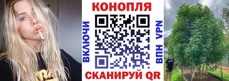 Марихуана семена  где можно купить   mega как зайти  Городище 